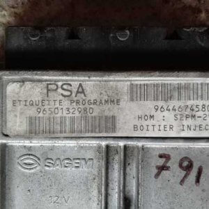 9655980980 MOTOR BEYNİ Citroen Xs Picass 1.8 9644674580 S2PM270